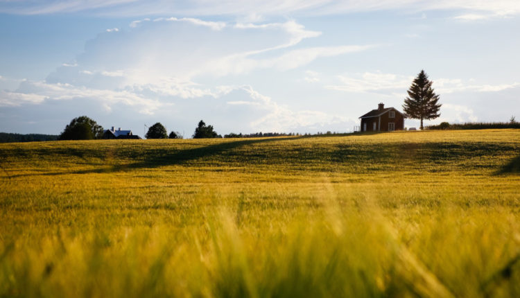 Agricultura suedeza