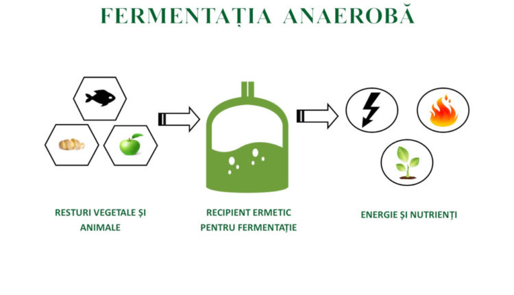 Fermenta'ie anaerobă