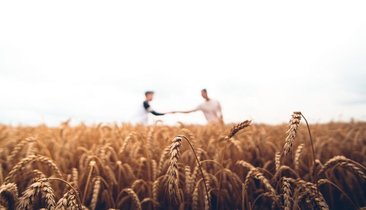 Politică Agrocolă Comună