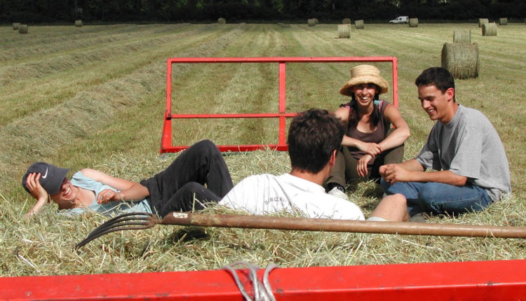 stimularea angajării tinerilor în agricultură