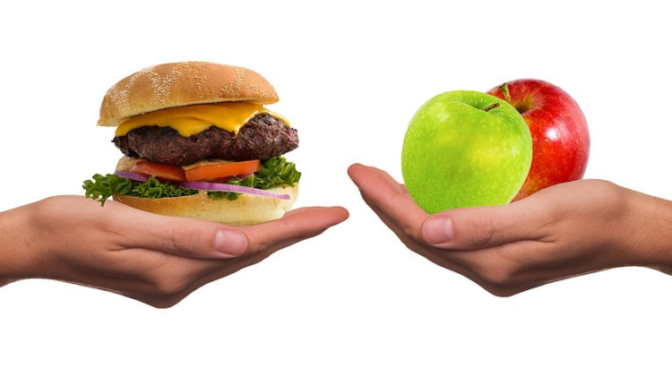 înlocuire a proteinelor animale