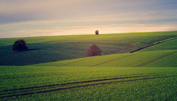politicii agricole