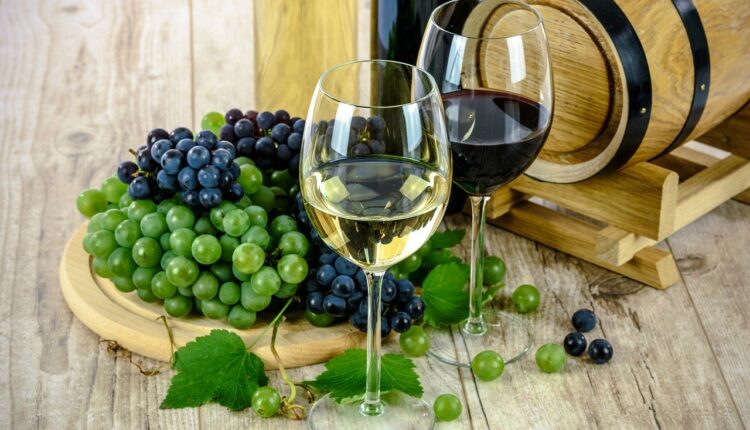 vin italia