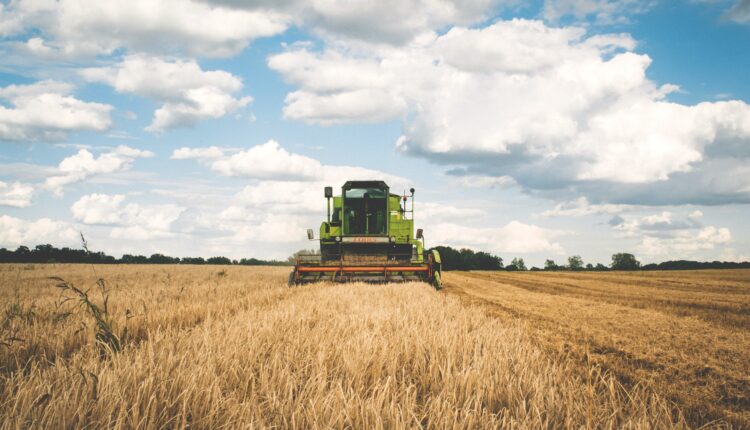 produs agricultura