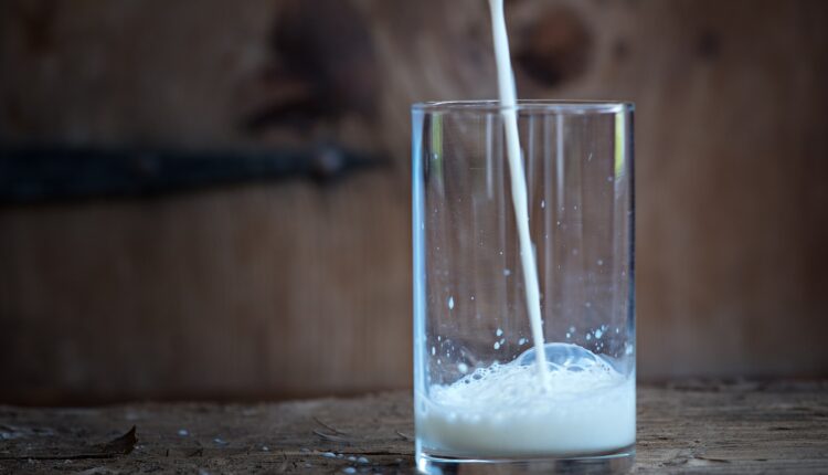 milk