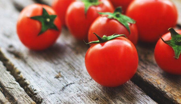 tomatoes