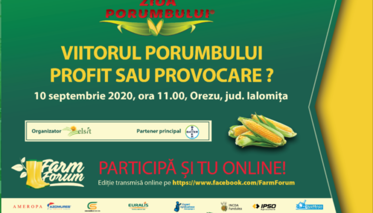 ziua porumbului