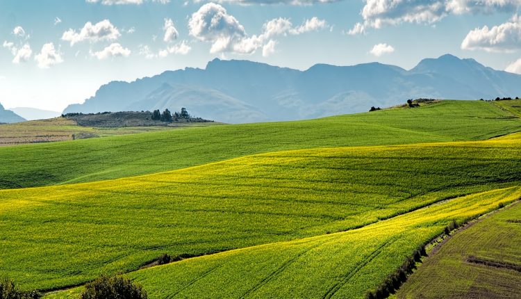 agricultură