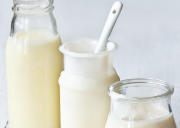 lactalis