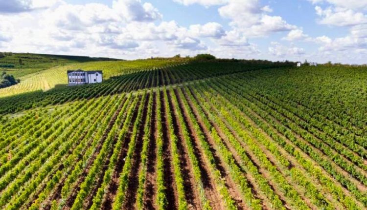 vinul românesc, crame