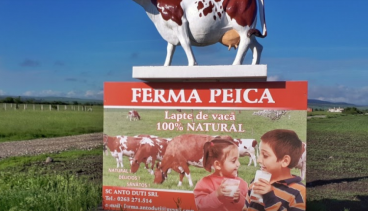 Ferma Peica