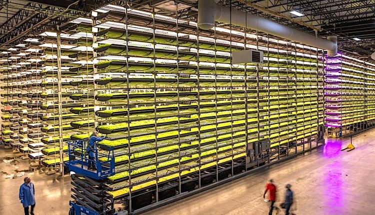 AeroFarms