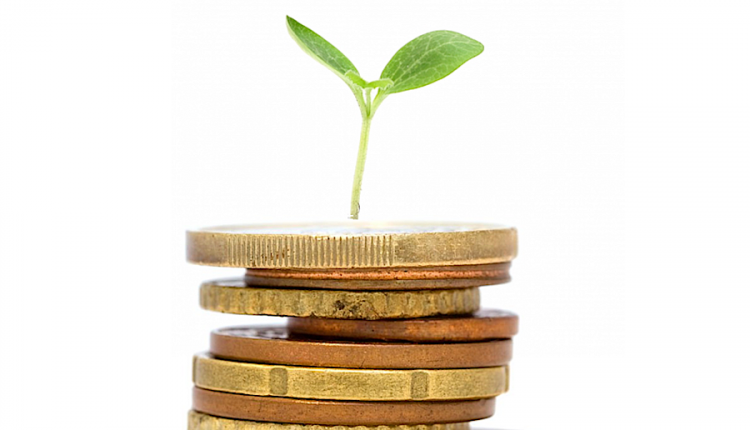 AGRO IMM Invest
