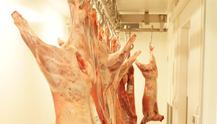 carne de porc stocuri