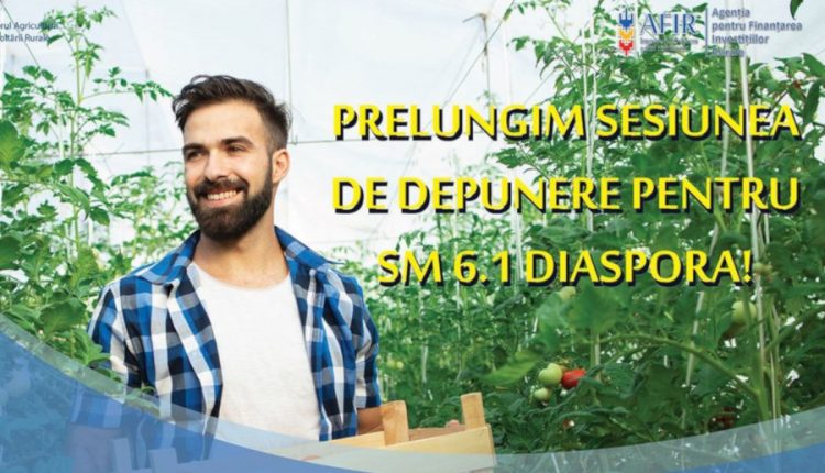 Tinerii din diaspora