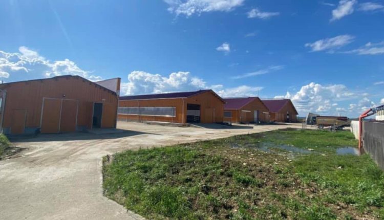 submăsura 4.1