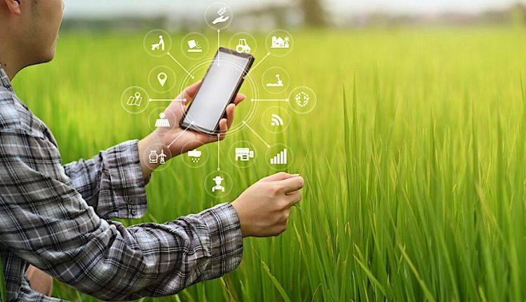 agricultura inteligentă, digitalizare