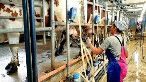 Certificare ecologică