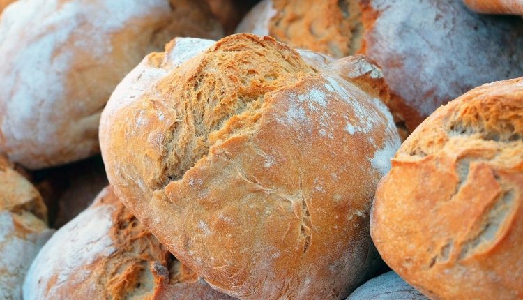pâine grâu, prețurile la alimente