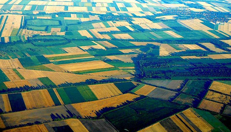 Recensământul general agricol