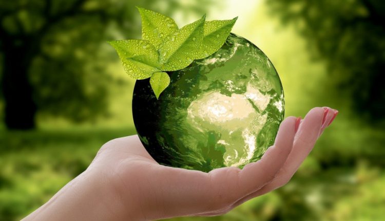 eco-scheme