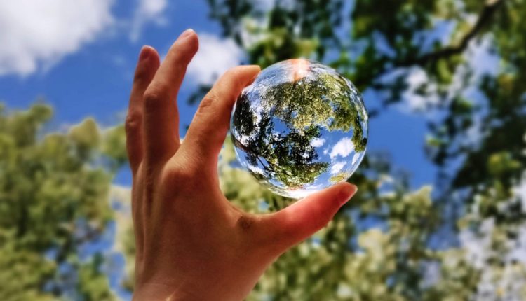 bioeconomie, sustenabilitatea