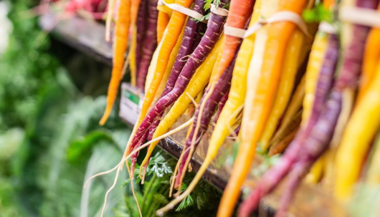 morcovi agricultură organică