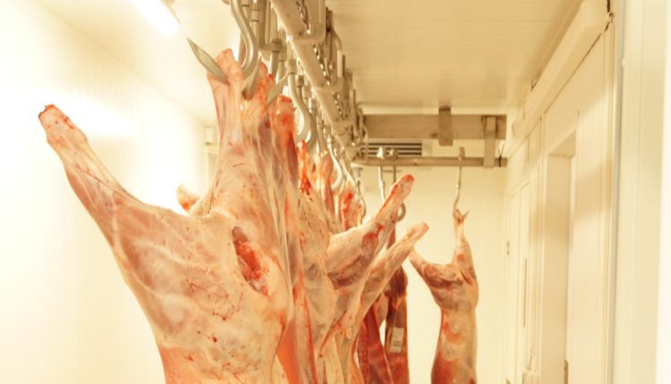 carne de porc, importatori