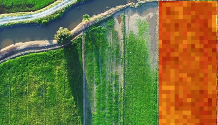 Raport „Agricultură între durabilitate și inovație” creat de SDA Bocconi Agri Lab în colaborare cu Crédit Agricole Italia