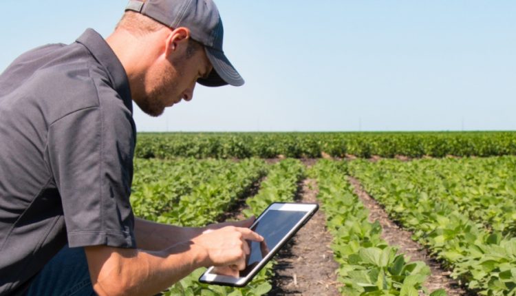 Agricultura de precizie BASF