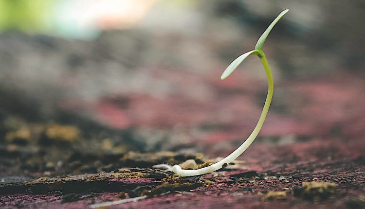 fermierii avertizează