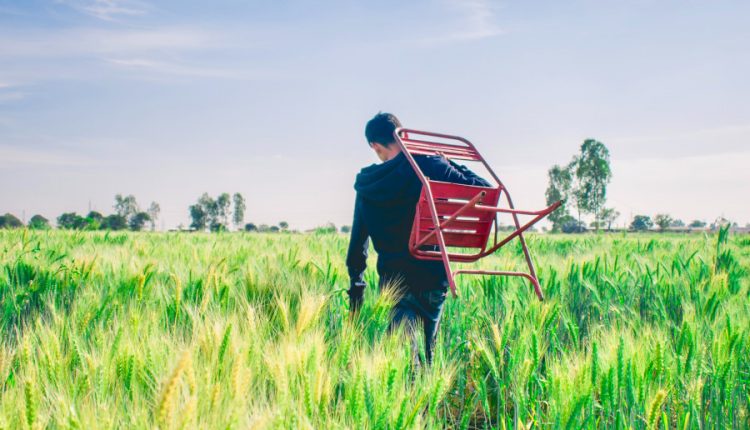 tineri, variantele meseriilor