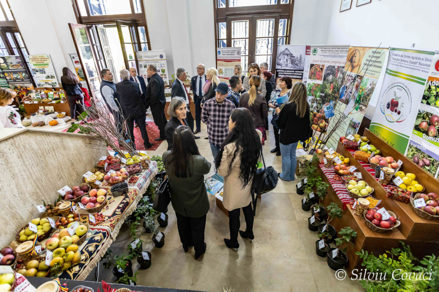 BucharestFoodSummit