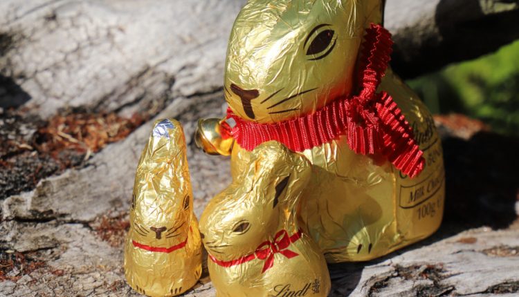 iepurași de ciocolată