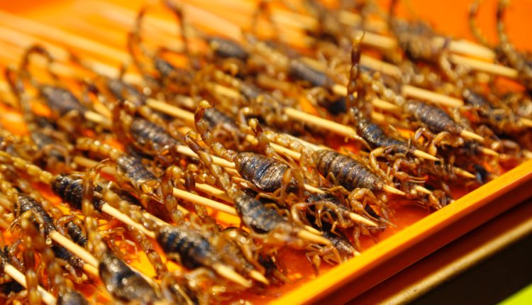insecte