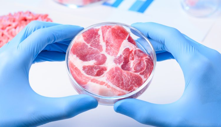 carnea cultivată laborator, biotehnologia