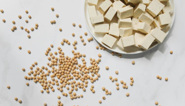 tofu