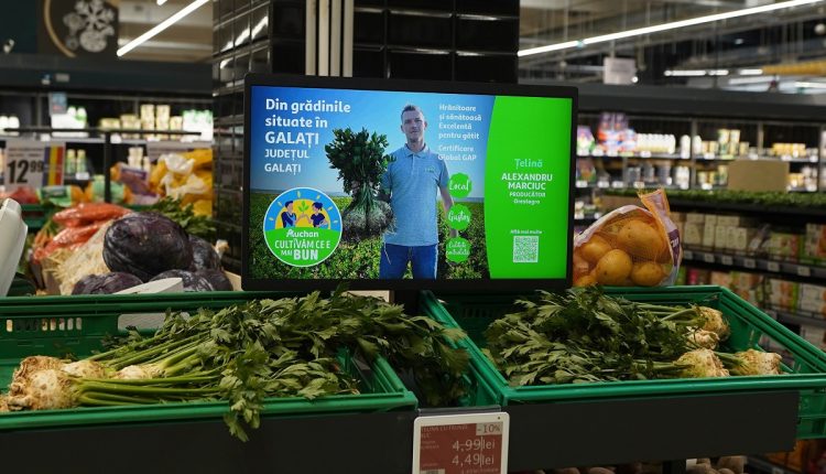 Auchan Pitești