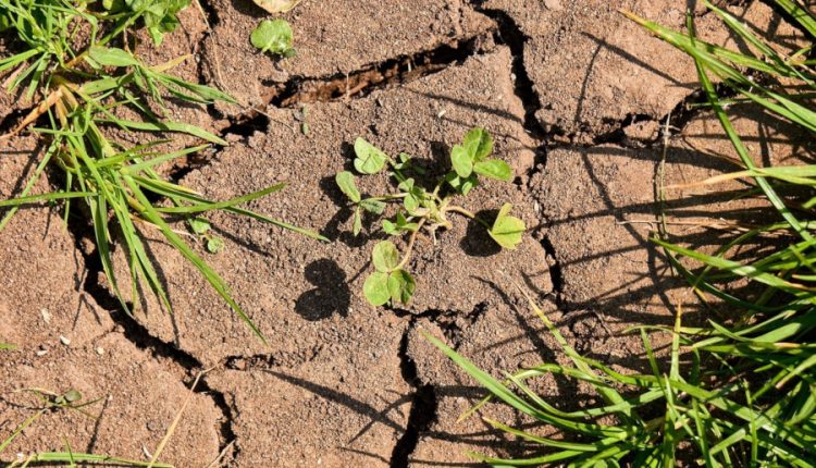 irigații, secetă