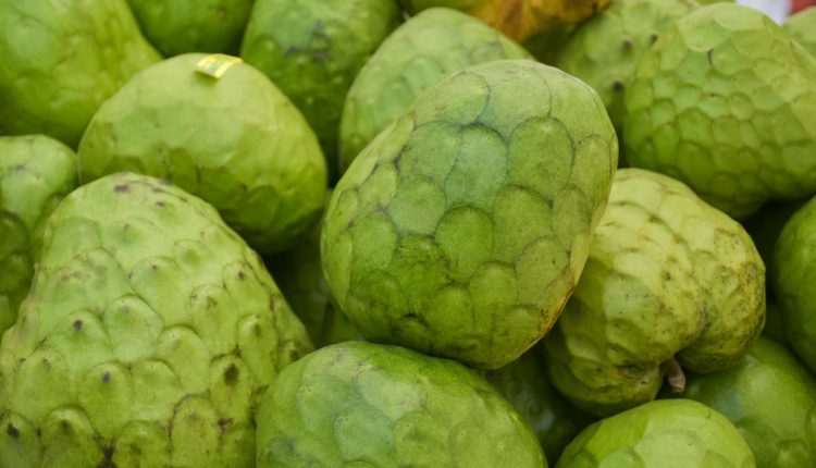 cherimoya