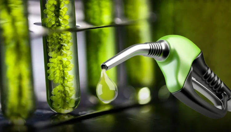 energie verde