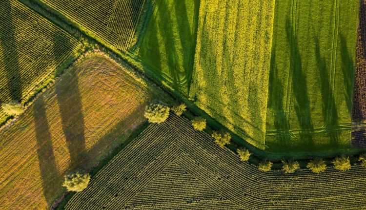teren agricol România